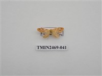 藏品(梯紋豔苔蛾)的圖片